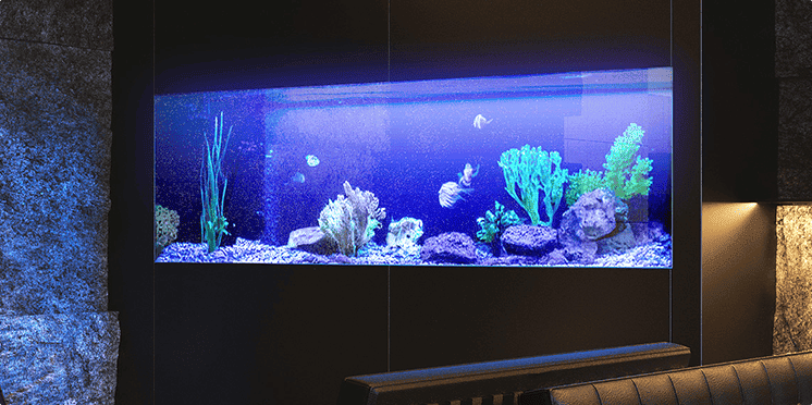 ラウンジを彩るアクアリウム採用